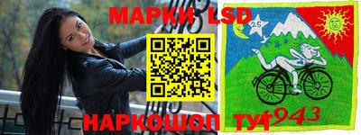 шишки Абинск
