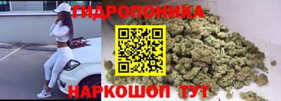 шишки Абинск